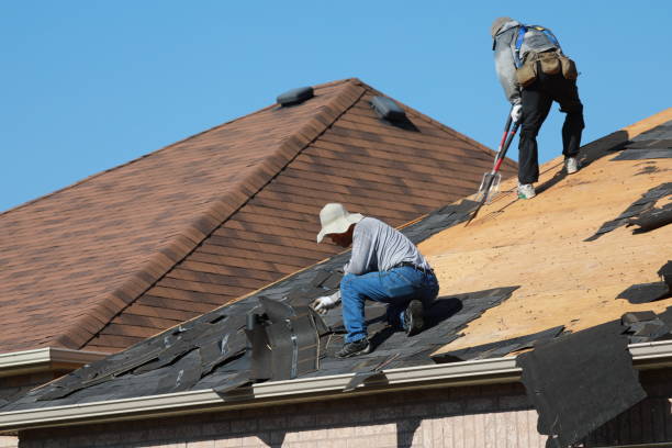 Best Skylight Installation and Repair  in Salunga, PA